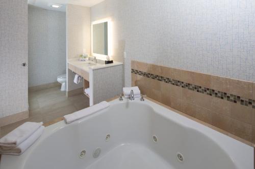 Et badeværelse på Holiday Inn Express Rochester Hills, an IHG Hotel