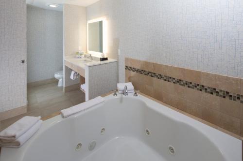 a bathroom with a large tub and a sink at Holiday Inn Express Rochester Hills by IHG in Rochester Hills