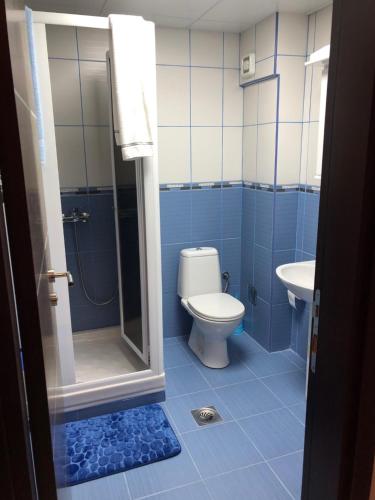 ein blaues Badezimmer mit WC und Waschbecken in der Unterkunft Studio Mišel 2 in Vrnjačka Banja