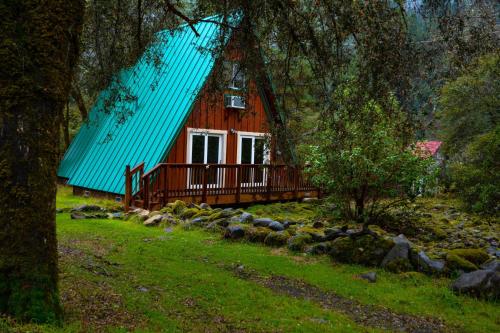 Rustic Redwood Retreat – Photos 3