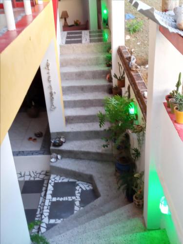una escalera que conduce a una casa con plantas en Hospedaje Algarrobo Machalilla en Machalilla