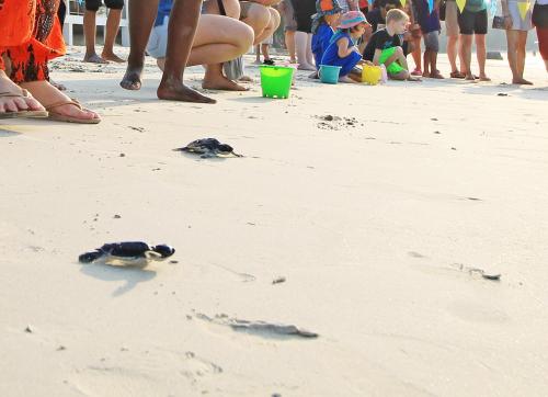 a group of people standing on a beach at Banyu Biru Villa in Lagoi