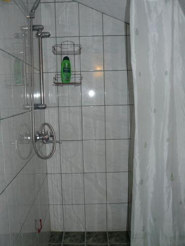 Koupelna v ubytování Geto Apartment