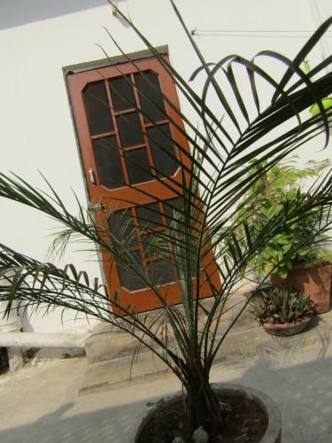 Imagen de la galería de Nadya Homestay For Female & family, en Jaipur