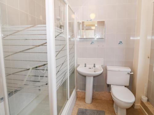 a bathroom with a shower and a toilet and a sink at 4 Ty Rhosyn in Porthmadog
