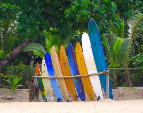 a bunch of surfboards lined up in the sand at Physis Caribbean Bed & Breakfast in Puerto Viejo