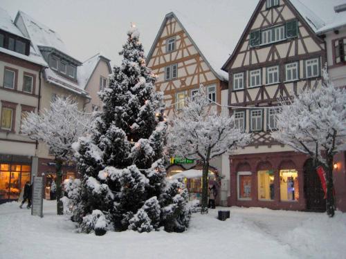 a snow covered christmas tree in front of a building at Penthouse Tauberblick in Tauberbischofsheim