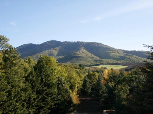 auliculiculiculiculiculiculiculiculiculiculiculiculiculiculic at Il Castagneto Hotel in Melfi