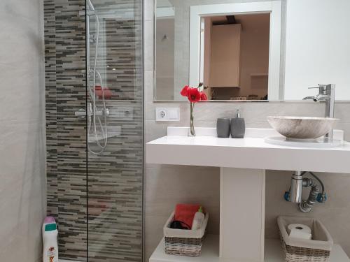 a bathroom with a sink and a glass shower at Apartamento Morisco in Toledo