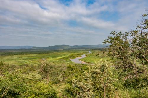 a view of a river in a field with trees at White Elephant Safaris in Pongola Game Reserve