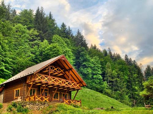 a wooden cabin in the middle of a forest at Терношорська Лада in Snidavka