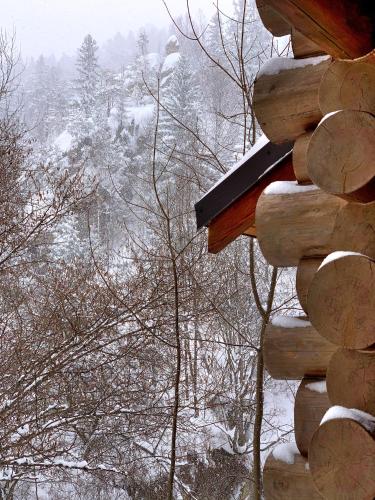 a view of a snow covered forest from a log cabin at Терношорська Лада in Snidavka