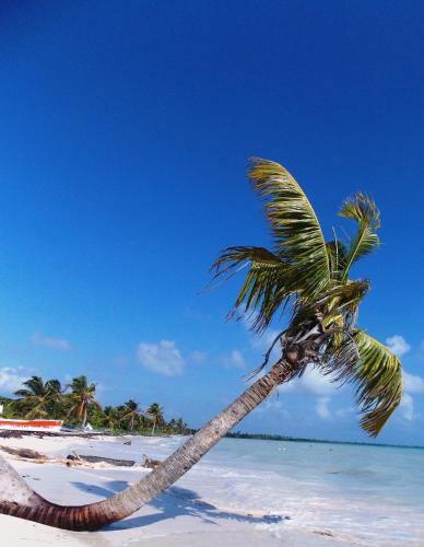 Gallery image of Casa Pascale in Punta Allen