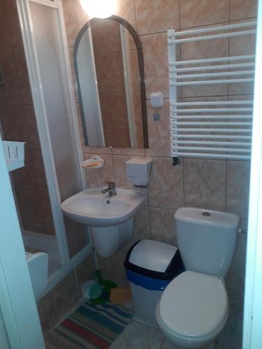 a small bathroom with a toilet and a sink at Ośrodek Wypoczynkowy Buenos Aires in Kudowa-Zdrój