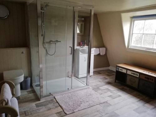 a bathroom with a shower with a toilet and a sink at Dolphin House in Bath