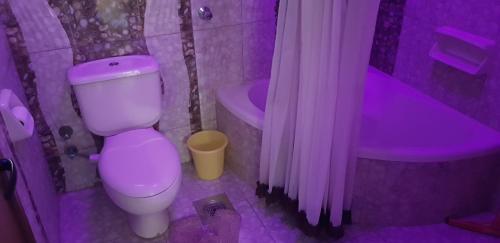 a purple bathroom with a toilet and a tub at mody appartment at alexandria in Alexandria