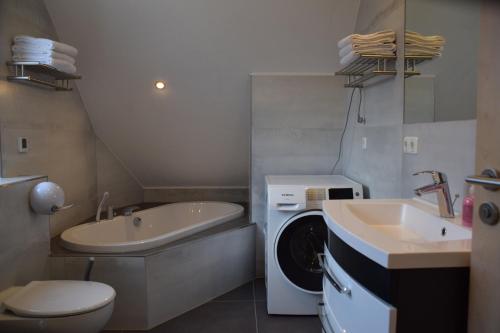 uma casa de banho com uma máquina de lavar roupa e um lavatório em Pferdefreunde Loberhof em Weihenzell