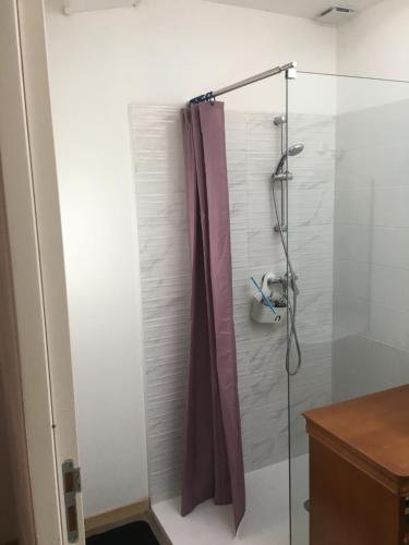 łazienka z prysznicem z zasłoną prysznicową w obiekcie La Cathare Appartement 2 chambres w mieście Lézignan-Corbières