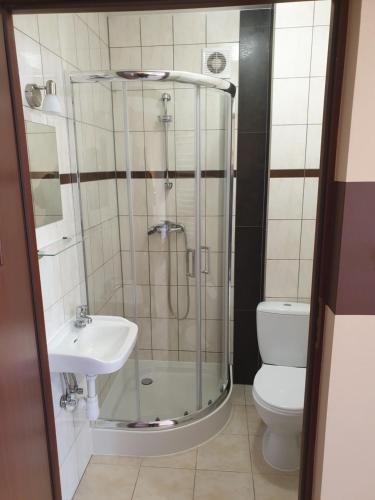 a bathroom with a shower and a toilet and a sink at Luna Noclegi i Zakwaterowanie in Jarosław