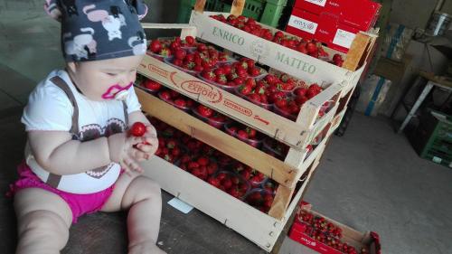 a baby sitting in front of a box of strawberries at Zum Lindenwirt - Al Tiglio in Naz-Sciaves