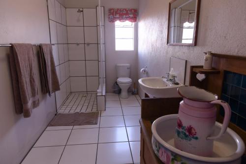 een badkamer met een wastafel, een toilet en een douche bij Karoo Secret in Aberdeen