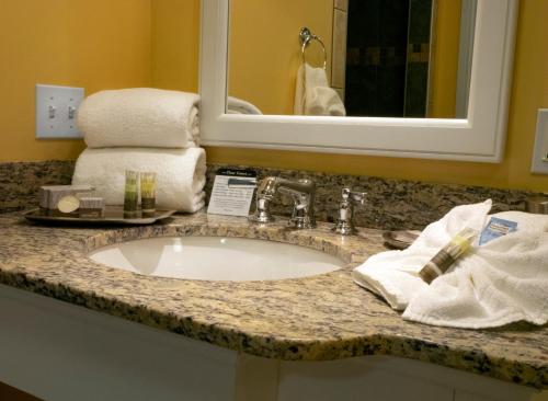 a bathroom counter with a sink and a mirror at Watkins Glen Harbor Hotel in Watkins Glen
