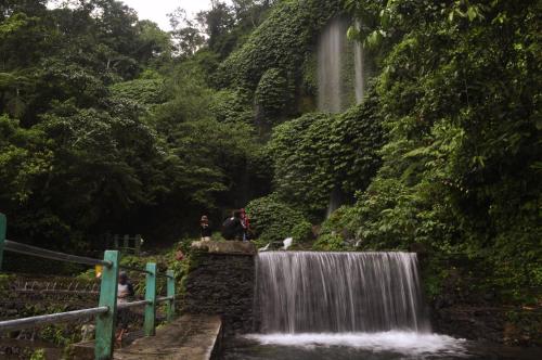 a waterfall in a forest with people standing next to it at Mu Homestay in Tetebatu