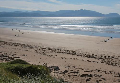 a group of people walking on the beach at Dingle Harbour Cottages 3 Bed Sleeps 7 by Trident Holiday Homes in Dingle