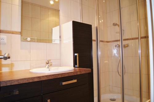 une salle de bain avec un lavabo et une douche dans l'établissement Appart 2-4 pers Berck-Plage Hyper-centre, à Berck-sur-Mer