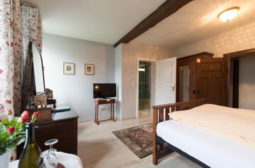 a bedroom with a bed and a television in it at Hotel Kavaliershaus/Schloss Bad Zwesten in Bad Zwesten