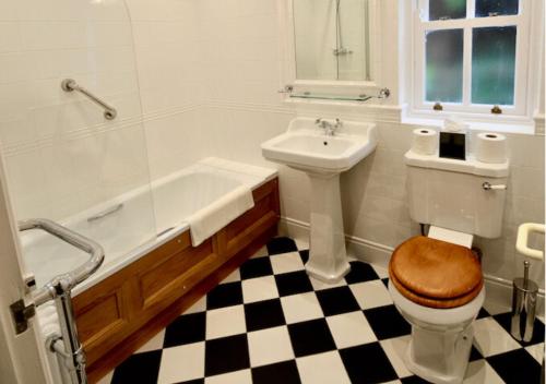 a bathroom with a toilet and a tub and a sink at Delphi Lodge in Leenaun