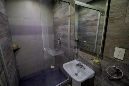 y baño pequeño con lavabo y ducha. en Hotel Flamingo Merida, en Mérida