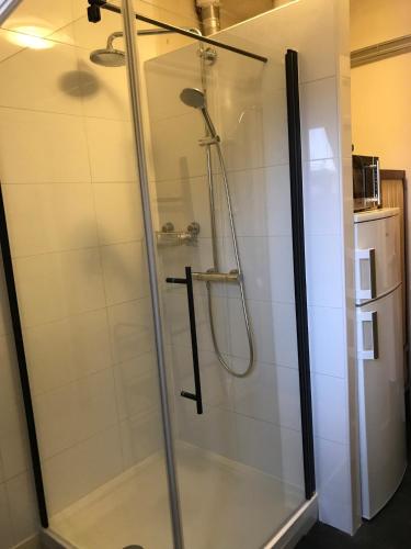 een douche met een glazen deur in de badkamer bij Brandy’s in Den Haag