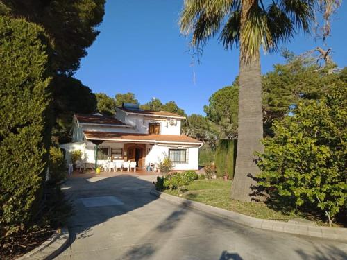 ein Haus mit einer Palme neben einer Auffahrt in der Unterkunft Boutique Algarrobo in Denia