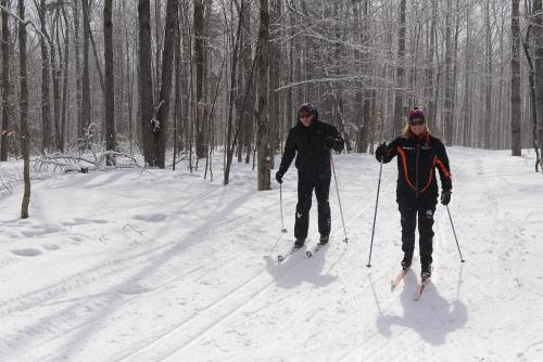 two people are cross country skiing in the snow at The Black Bear Lodge at Stratton Mountain Resort in Stratton Mountain