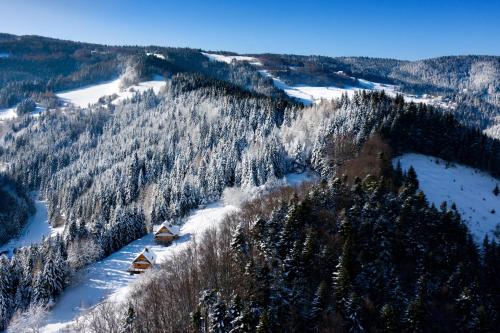 een luchtzicht op een bos met sneeuw bedekte bomen bij Chata na Kowalówkach - domek w górach - blisko szlaków i wyciągu in Piwniczna