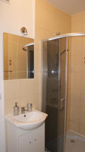 a bathroom with a sink and a shower at Domek pod różą in Krasnobród