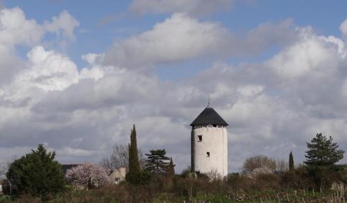 Φωτογραφία από το άλμπουμ του La Tour du Moulin Géant σε Rochefort-sur-Loire