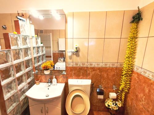 a bathroom with a toilet and a sink at Ultracentral Cathedral Apartament Timisoara in Timişoara
