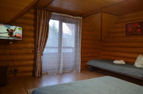 a room with a window and a tv in a cabin at Sadyba Pikuy in Bilasovytsya
