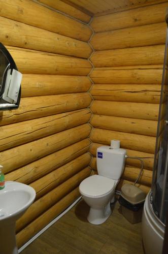 a wooden bathroom with a toilet and a sink at Sadyba Pikuy in Bilasovytsya