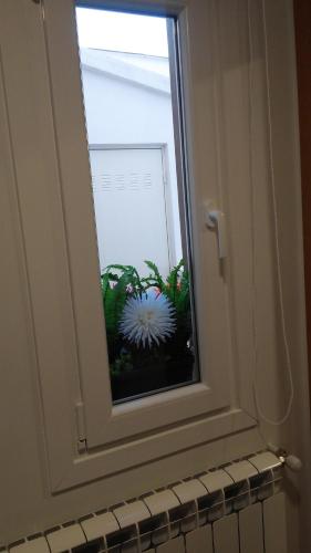 
a plant in a window sill next to a window at Carpe Viam in Santo Domingo de la Calzada
