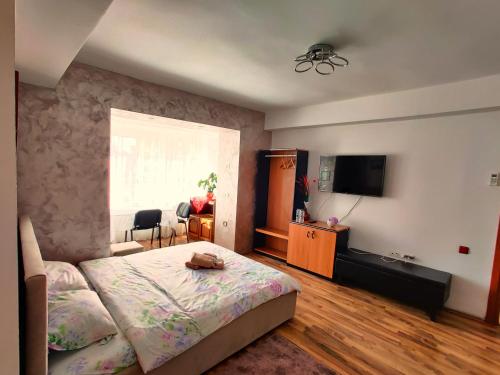 a bedroom with a bed and a flat screen tv at Ultracentral Cathedral Apartament Timisoara in Timişoara