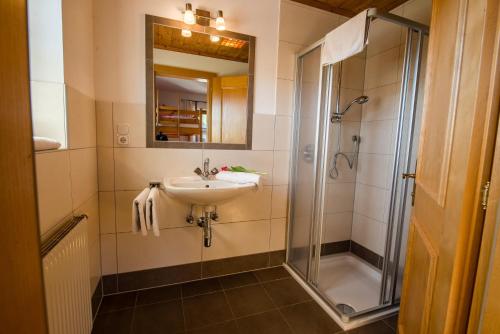 a bathroom with a sink and a shower at Ferienwohnung Thurn-ummerstall in Hollersbach im Pinzgau