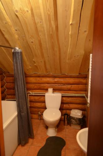 a bathroom with a toilet and a bath tub at Sadyba Pikuy in Bilasovytsya