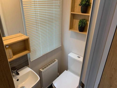a small bathroom with a toilet and a sink at 3 bed presitage caravan Doniford Bay in Watchet