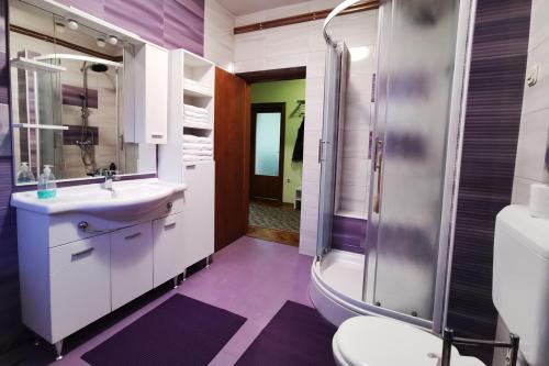 Koupelna v ubytování Apartman Škudar