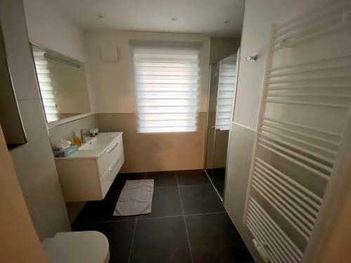 a bathroom with a toilet and a sink and a mirror at Heykens Golfhuus Eagle in Wiesmoor