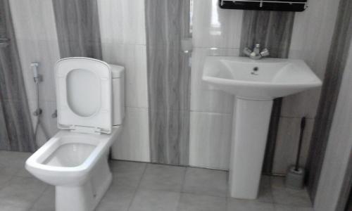 a bathroom with a toilet and a sink at Hamadhi guest in Haldummulla