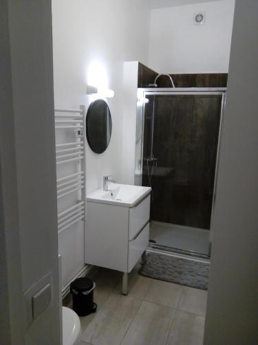 une salle de bain blanche avec un lavabo et une douche dans l'établissement Passionné de la plage, à Dunkerque